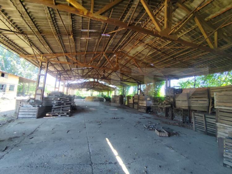 Teren de 32000 mp, în Răducăneni