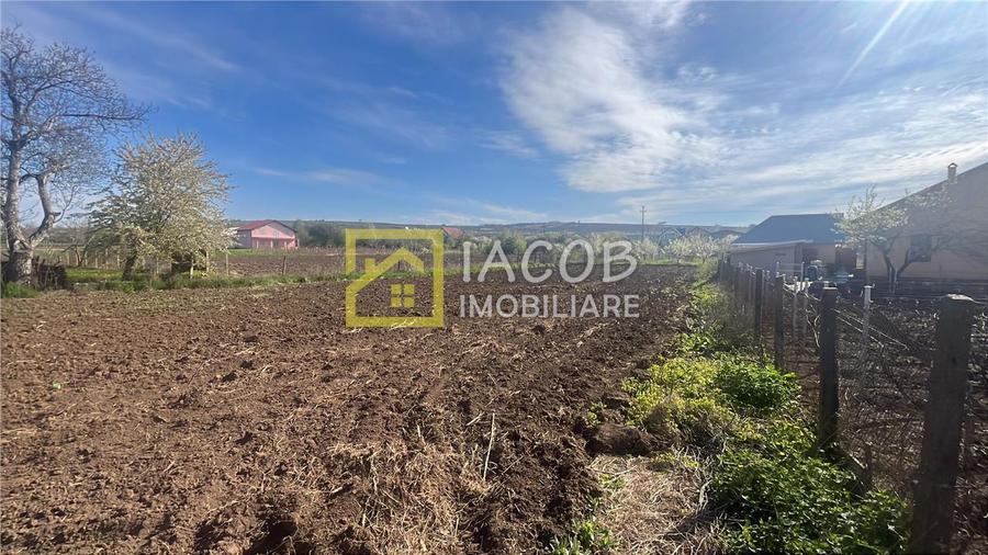 Teren Construcții intravilan de 2554 mp, în Prăjești (Traian)
