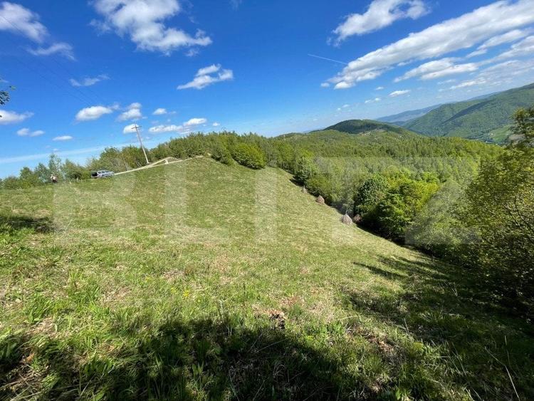 Teren agricol extravilan de 6000 mp, în Valea Ierii
