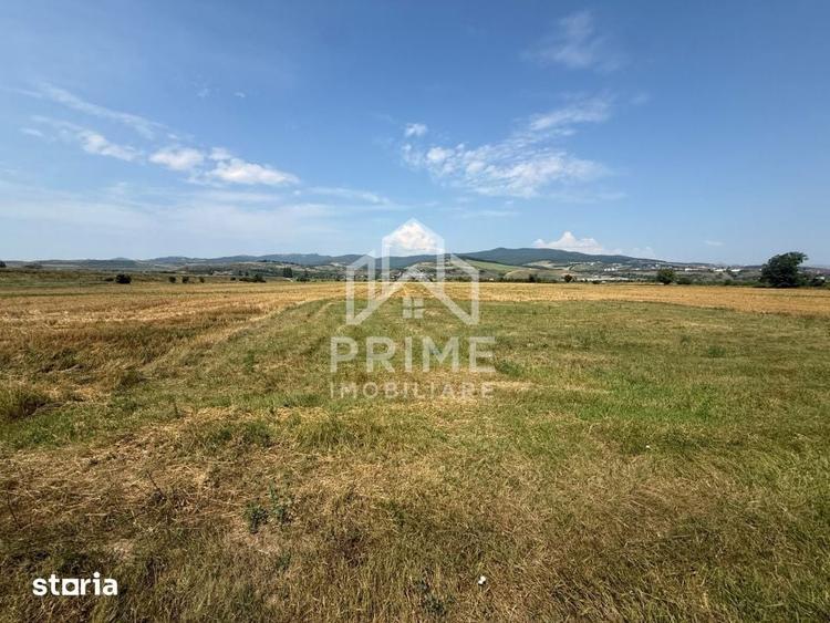 Teren de 870 mp, în Partoș