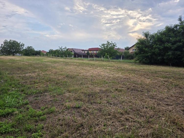 Teren agricol intravilan de 1242 mp, în Dumbrăvița