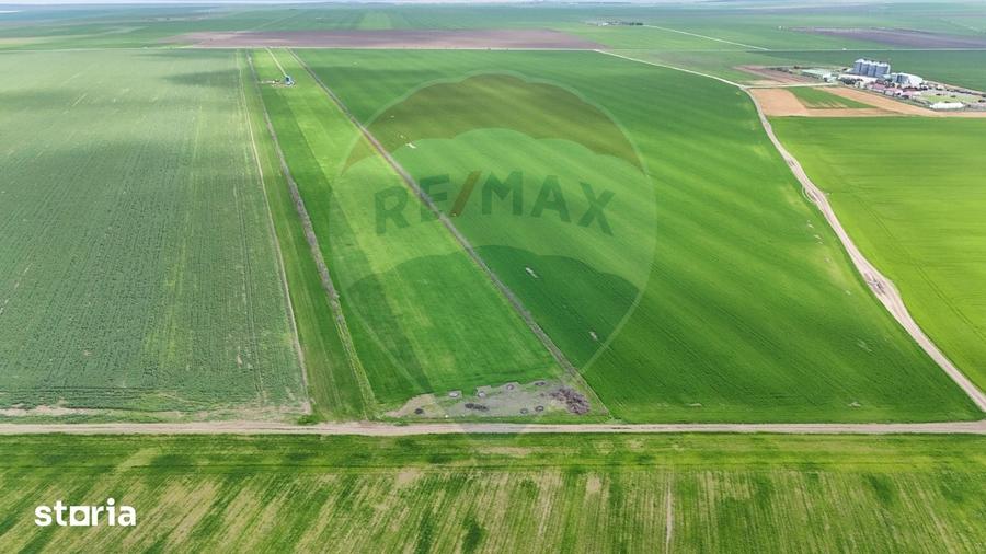 Teren de vanzare in Sacele ideal pentru silozuri, ferma 6 ha - 15