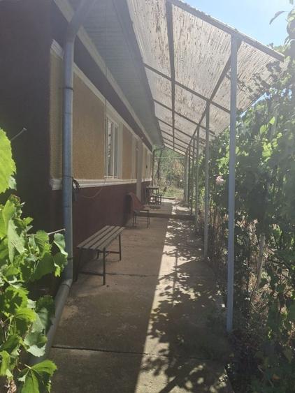 Casă cu 2 camere în Sânger