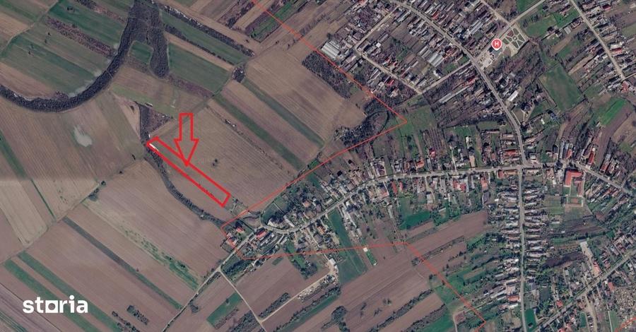 Teren de 590 mp, în Central