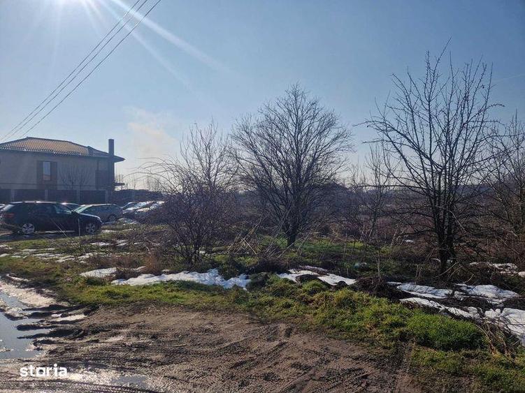 Teren intravilan de vanzare, Jilava, Strada Garii - 5