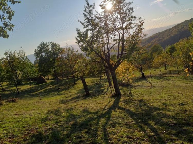 Teren de 2000 mp, în Brusturi