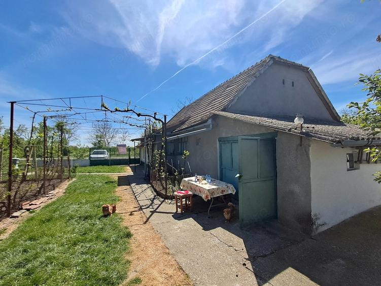 Valcani, proprietate cu casa taraneasca - 3