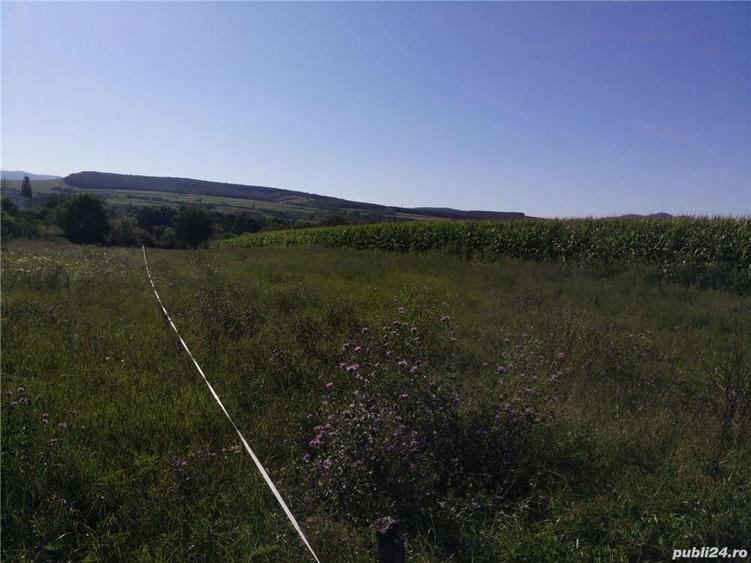 Teren de 3050 mp, în Peștișu Mare