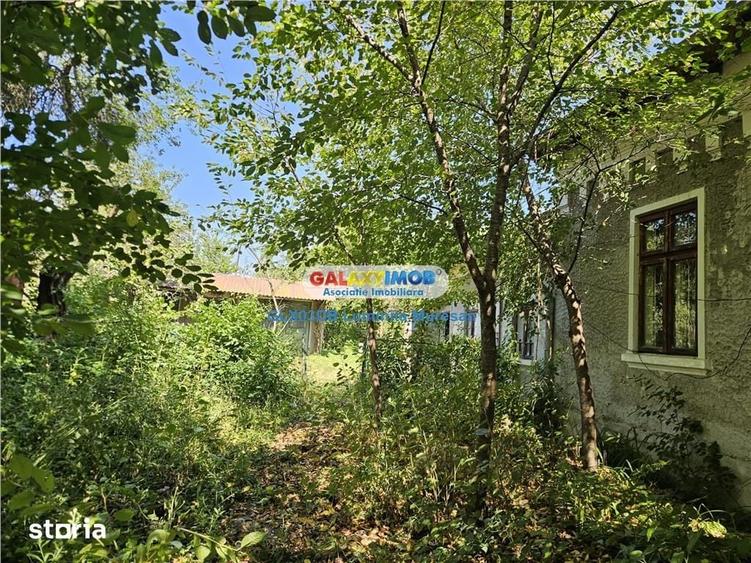 Vanzare casa batraneasca S + P teren Valea Voievozilor - 9