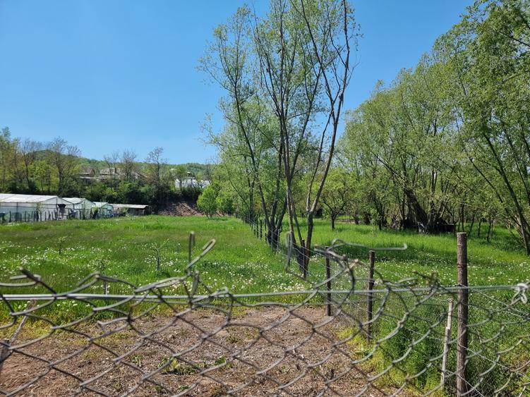 Teren Construcții intravilan de 1809 mp, în Moțăieni