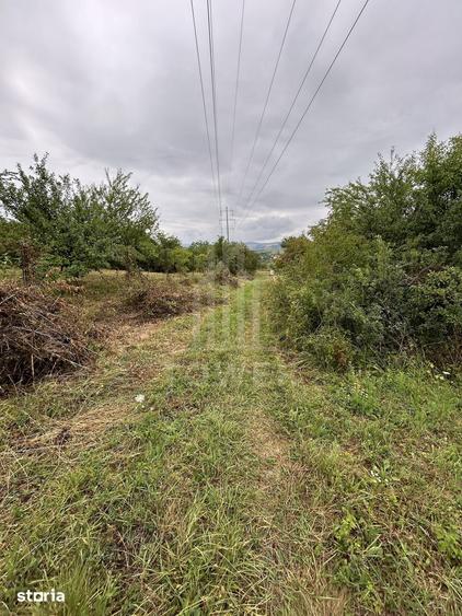Teren intravilan de vanzare in Daia Noua 1.000 mp - 3