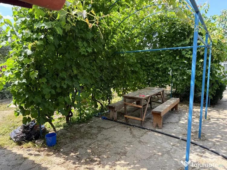 Casă cu 3 camere în Platonești