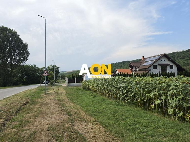 Teren Construcții intravilan de 2800 mp, în Hăpria