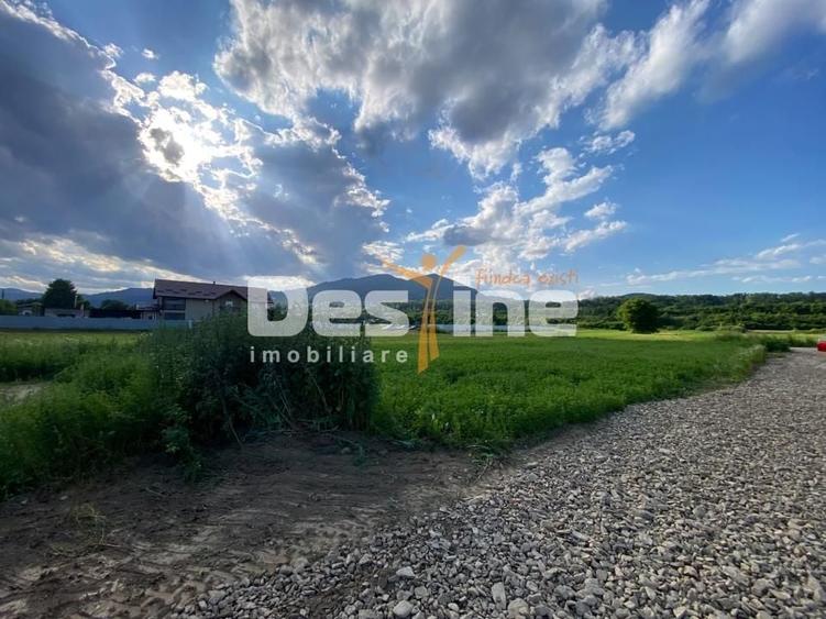 Teren Construcții intravilan de 735 mp, în Alexandru cel Bun