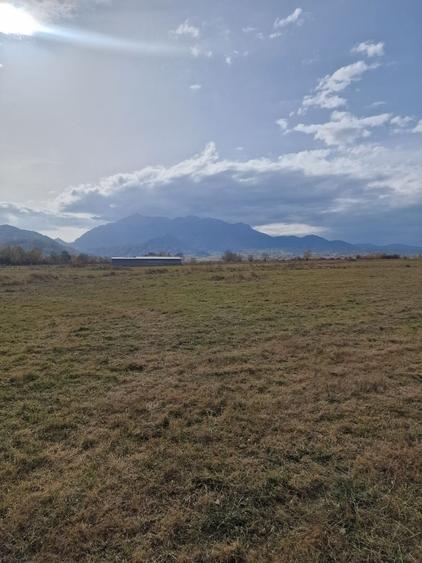 Teren in Rasnov-Brasov - 3