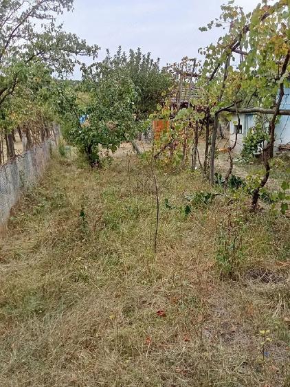 Teren-casa de vanzare - 2