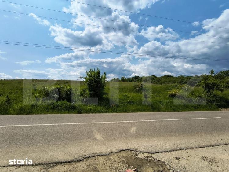 Teren de 5000 mp, în Teișani