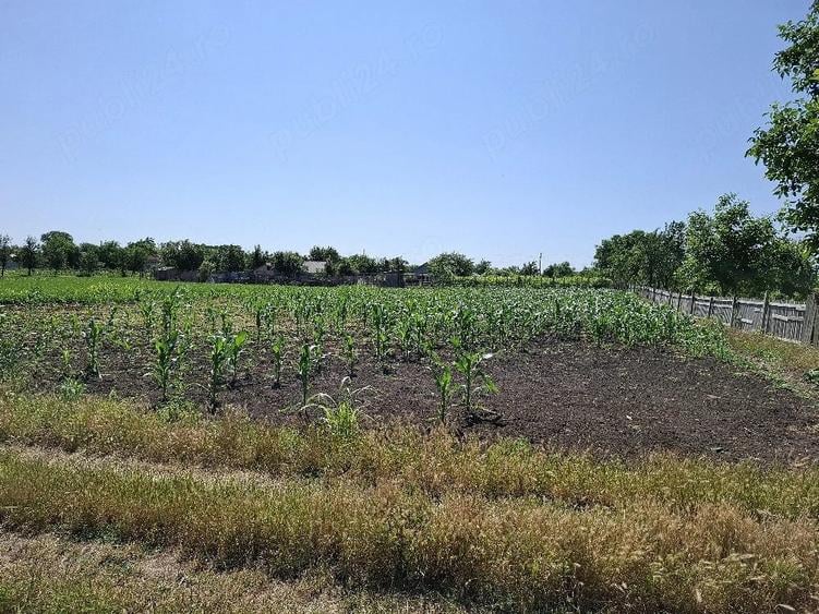 Teren de 1500 mp, în Padina