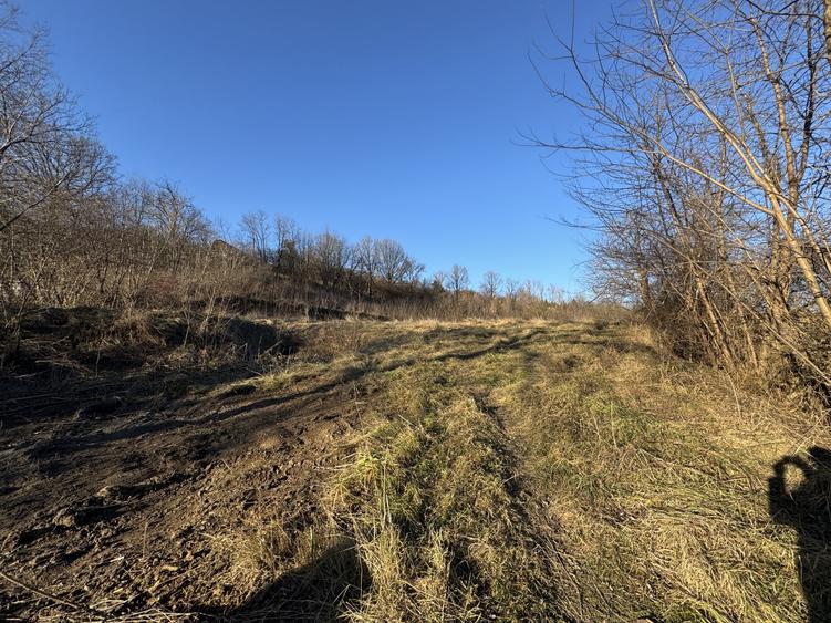 Teren Construcții intravilan de 4000 mp, în Moinești