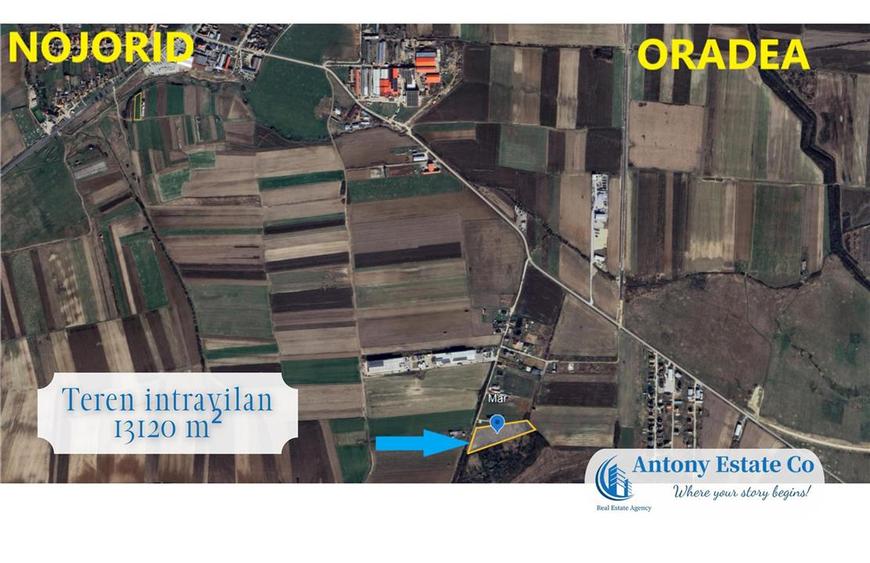 Teren Construcții intravilan de 13120 mp, în Nojorid