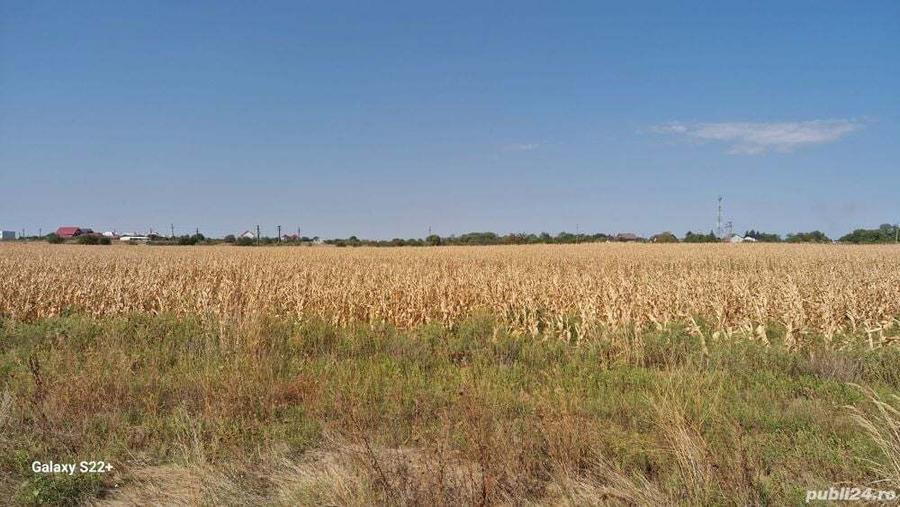 Teren de 20000 mp, în Cârcea
