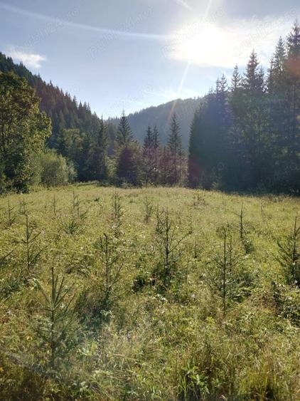 Teren de 3800 mp, în Capu Corbului