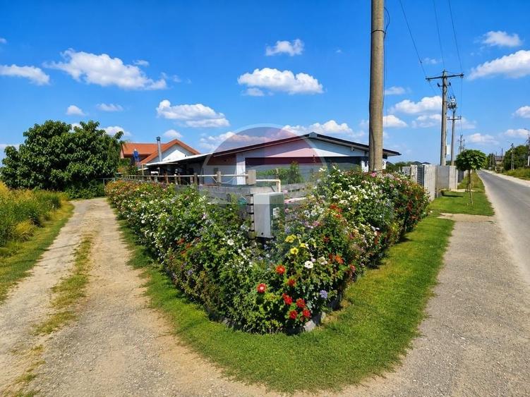 Casă individuală cu 3 camere cu Teren 469 Mp în Bălăceanca