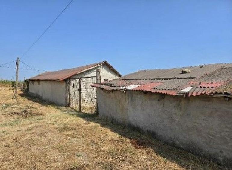 Casa si teren Vadu , ID: R2757056 - 7