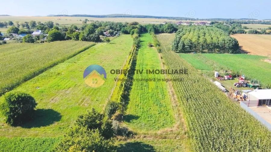 TEREN intravilan 6764 mp DRAGOMIRESTI - VAD. - 3