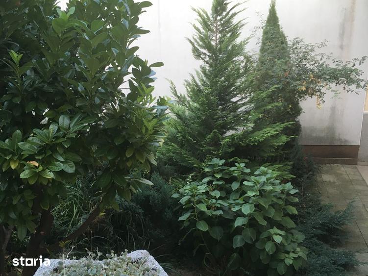 Casă cu 3 camere decomandat cu Teren 311 Mp în Central