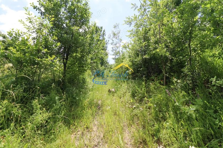Teren de 823 mp, în Brebu