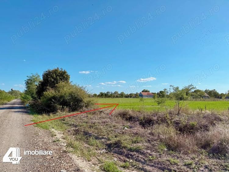 Teren de 2880 mp, în Cermei