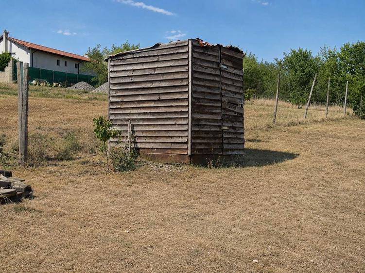 TEREN DE VANZARE LIVADA DIN PALEU, in apropiere de Dealul Viilor - 8