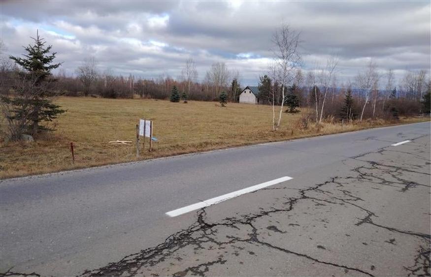 Teren Construcții extravilan de 4000 mp, în Borzont