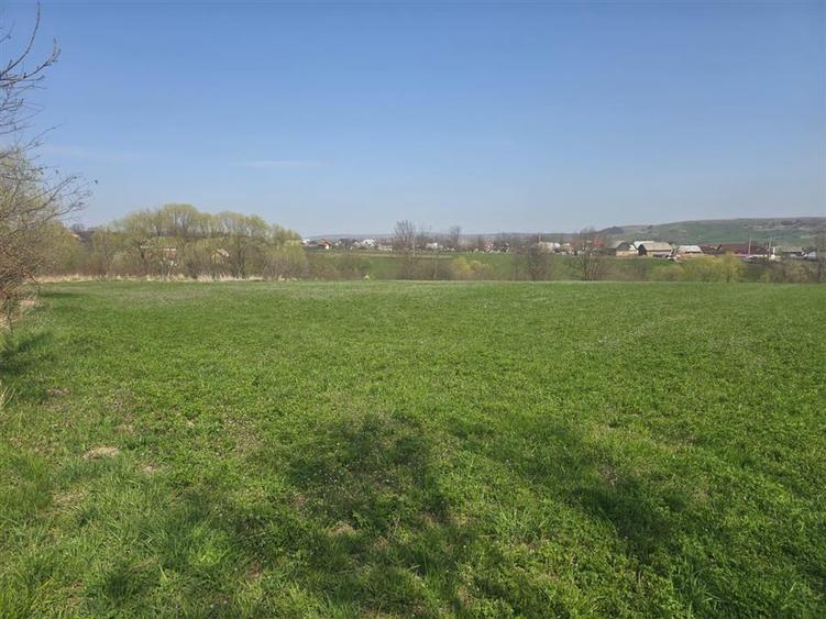 Teren agricol intravilan de 15000 mp, în Ilișești