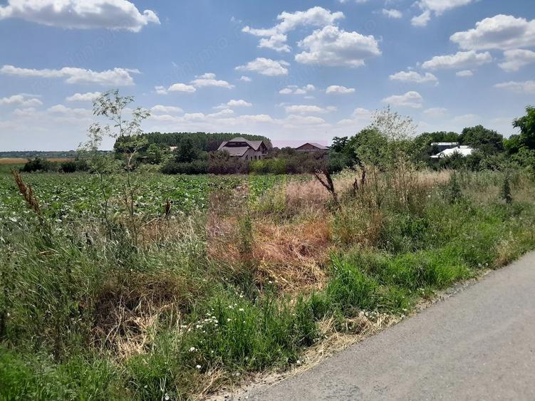 Teren de 16500 mp, în Teișori