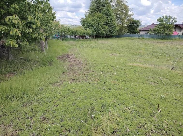 Teren de 6000 mp, în Fălticeni