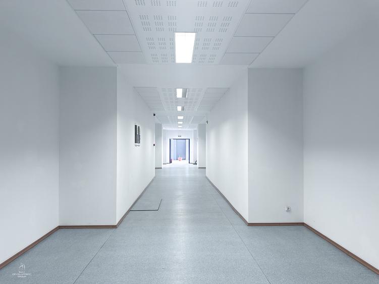 Proprietate specială, de 2,560 mp, în Coiciu