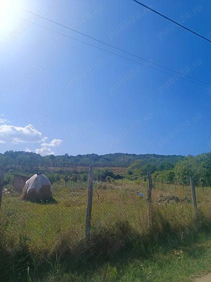 Teren de 3500 mp, în Central