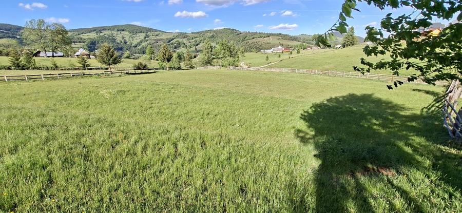 Teren de 2000 mp, în Arieșeni