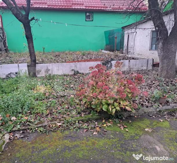Casă cu 2 camere cu Teren 300 Mp în Central