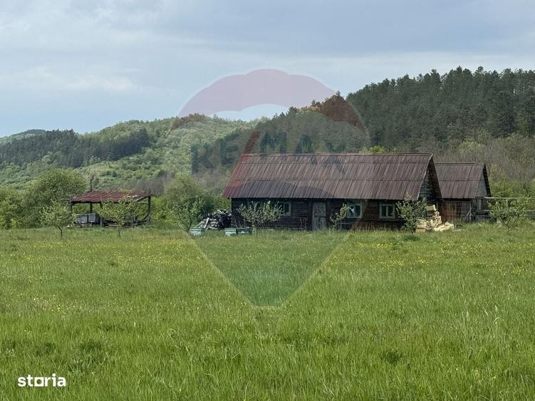 Casă cu 4 camere în Topa Mică
