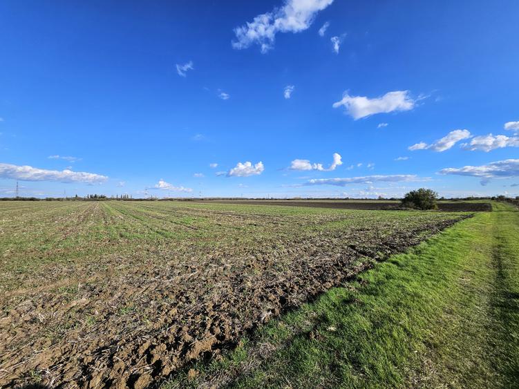 Teren agricol extravilan de 30200 mp, în Căciulați