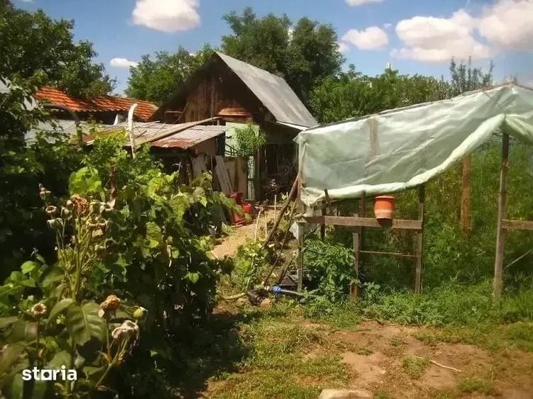 Casa cu teren 2.100 mp la 30 km de Bucure?ti | Livada, sera, anexe, utilita?i complete . - 1