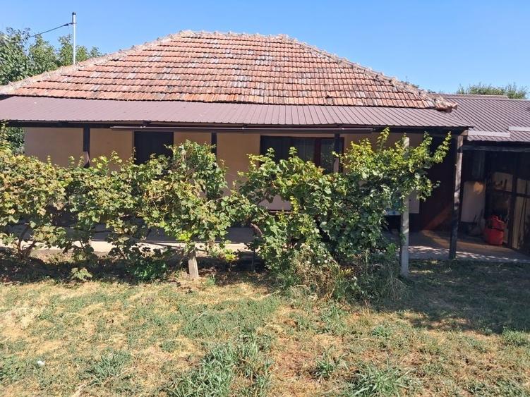 Casă cu 2 camere în Central