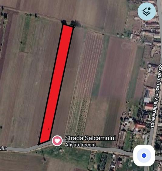 Teren de 6000 mp, în Sud