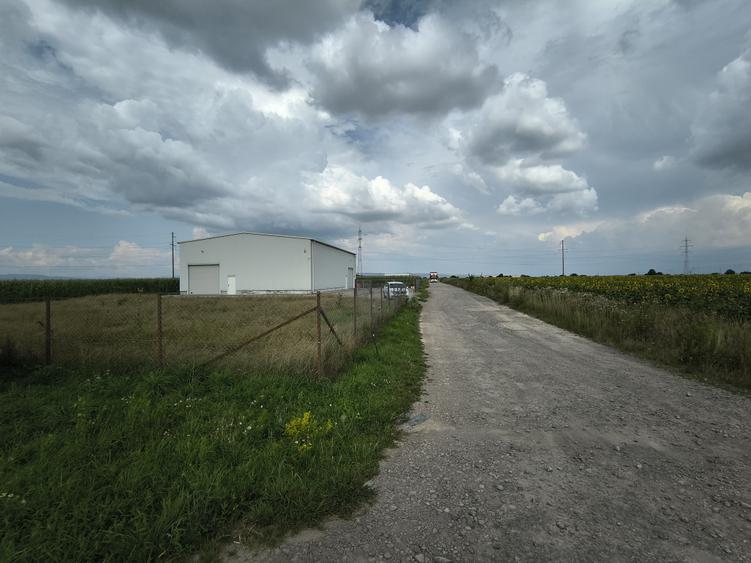 Teren Construcții intravilan de 6300 mp, în Ozun