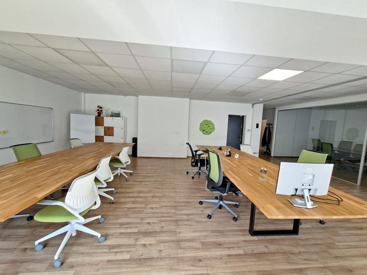 Birou, de 160.19000244141 mp, în Elisabetin