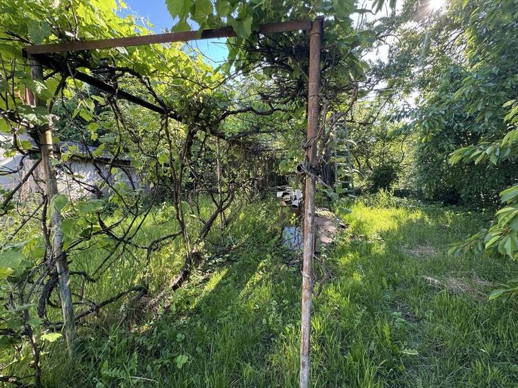 Casă cu 3 camere în Central