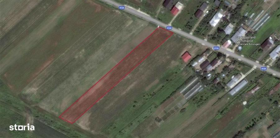 Teren de 5000 mp, în Buturugeni